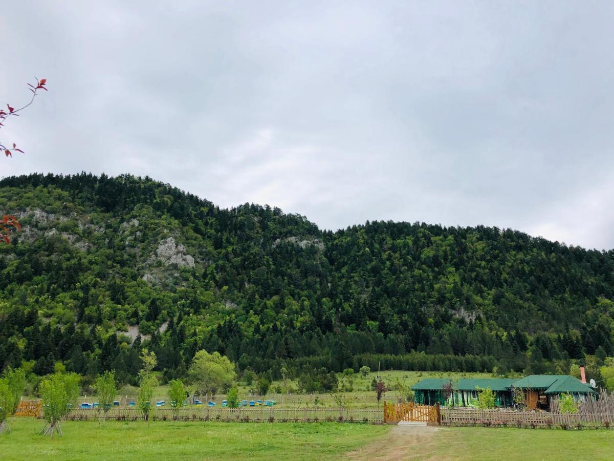 Camping Farm Shelegur Leskovik Exterior foto